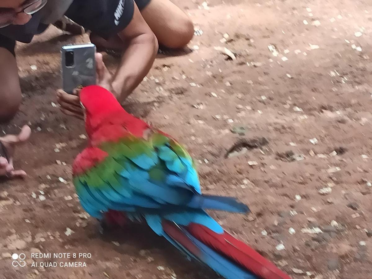 Hotel Casas Bom Sono Foz do Iguaçu Esterno foto
